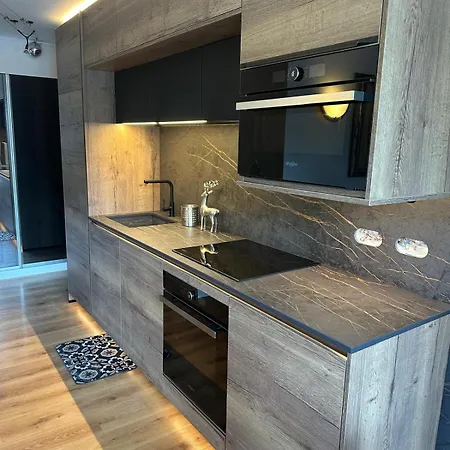 Appartement In/ski Out