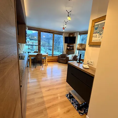 In/ski Out Apartman *