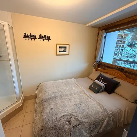 Apartman In/ski Out Courchevel