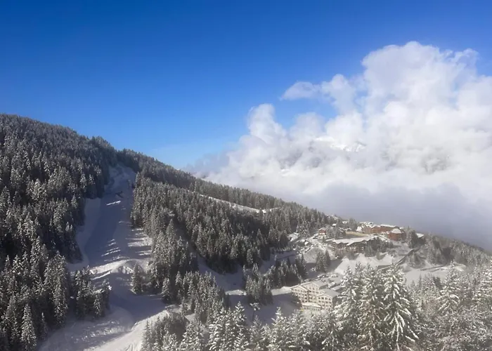 In/ski Out * كورشوفيل